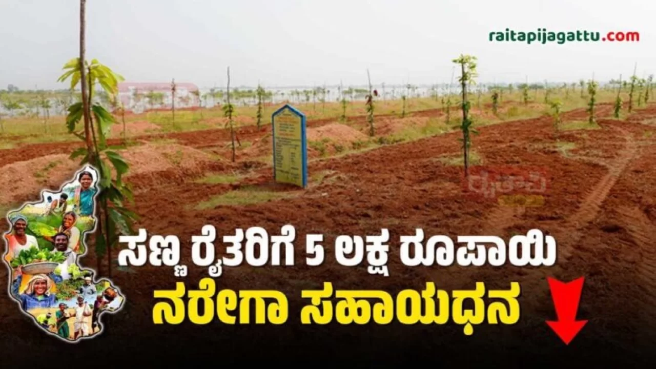 MGNREGA Karnataka : ಸಣ್ಣ ರೈತರಿಗೆ ₹5 ಲಕ್ಷ ನರೇಗಾ ಸಹಾಯಧನ